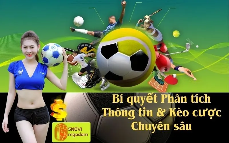 Bí quyết Phân tích Thông tin & Kèo cược Chuyên sâu