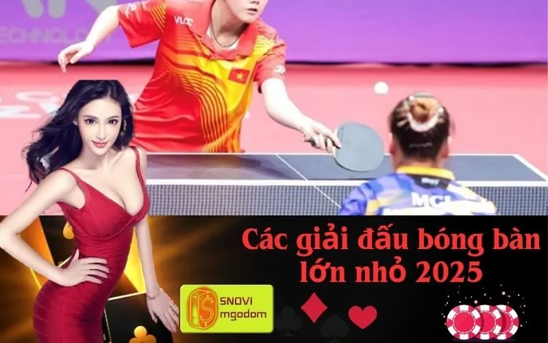 Các giải đấu bóng bàn lớn nhỏ 2025