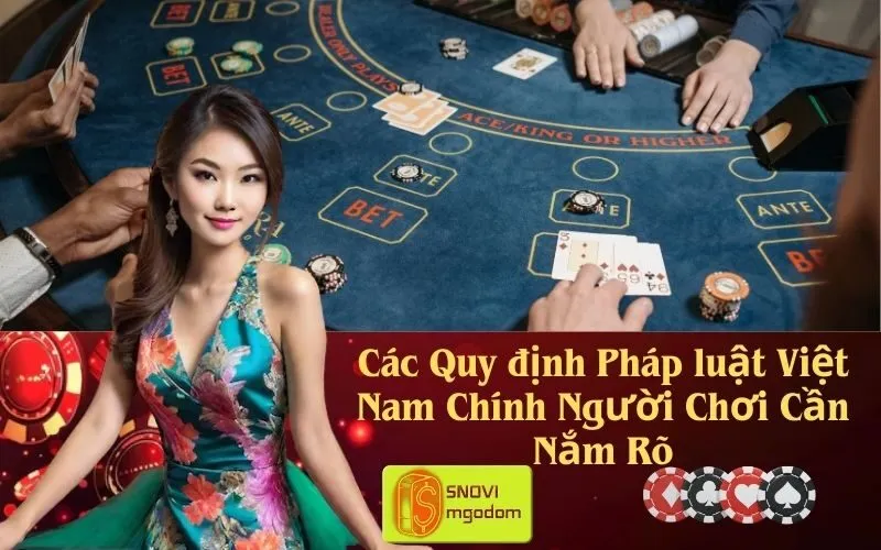Các Quy định Pháp luật Việt Nam Chính Người Chơi Cần Nắm Rõ