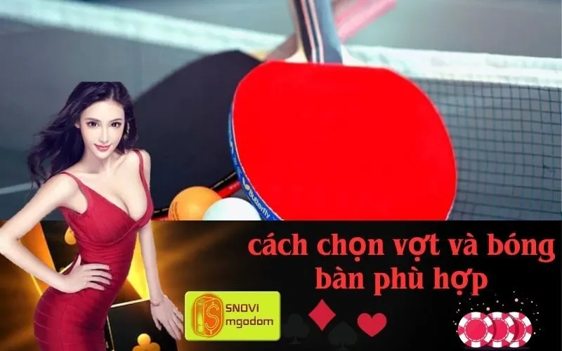 cách chọn vợt và bóng bàn phù hợp