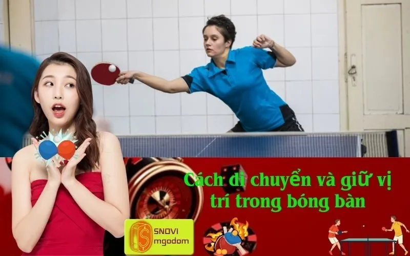 Cách di chuyển và giữ vị trí trong bóng bàn