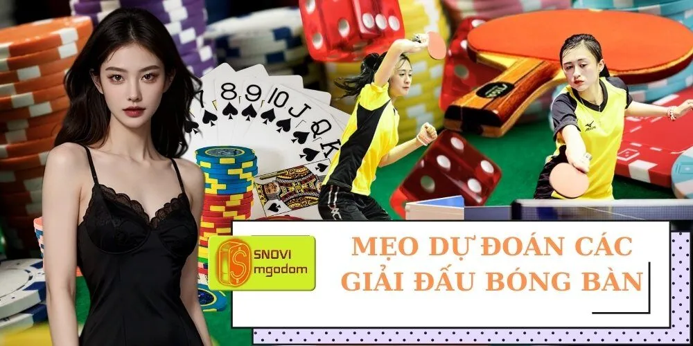 Mẹo Dự Đoán Các Giải Đấu Bóng Bàn