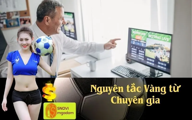 Nguyên tắc Vàng từ Chuyên gia