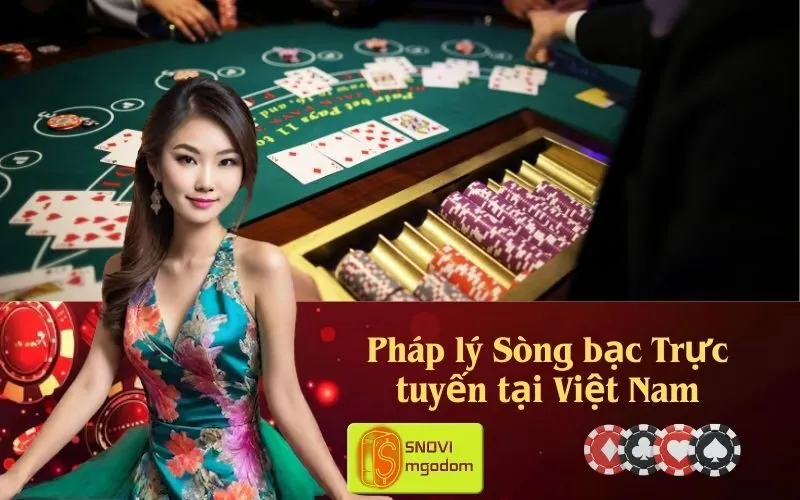 Pháp lý Sòng bạc Trực tuyến tại Việt Nam