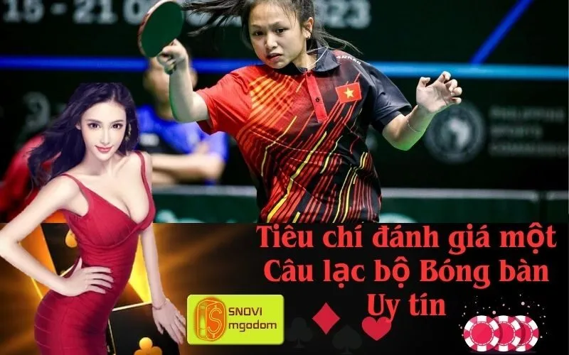 Tiêu chí đánh giá một Câu lạc bộ Bóng bàn Uy tín