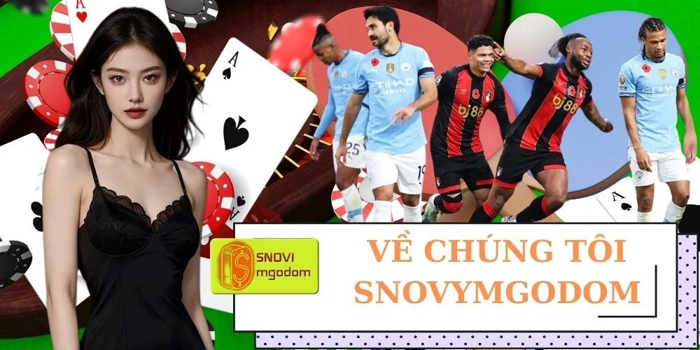 Về chúng tôi snovymgodom