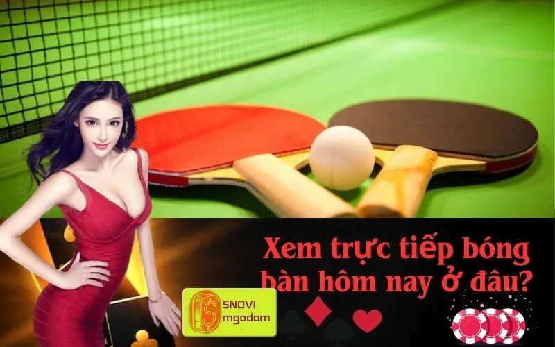 Xem trực tiếp bóng bàn hôm nay ở đâu?