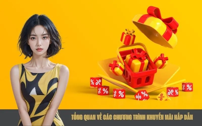 Tổng quan về các Chương trình Khuyến mãi Hấp dẫn