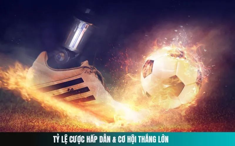 Tỷ Lệ Cược Hấp Dẫn & Cơ Hội Thắng Lớn